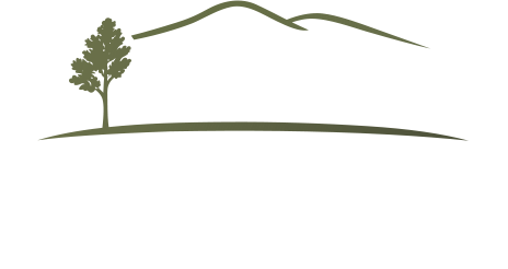 Nelson Rentals logo